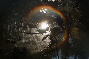 Rainbow in a spider-web