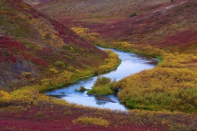 Tundra jesienna